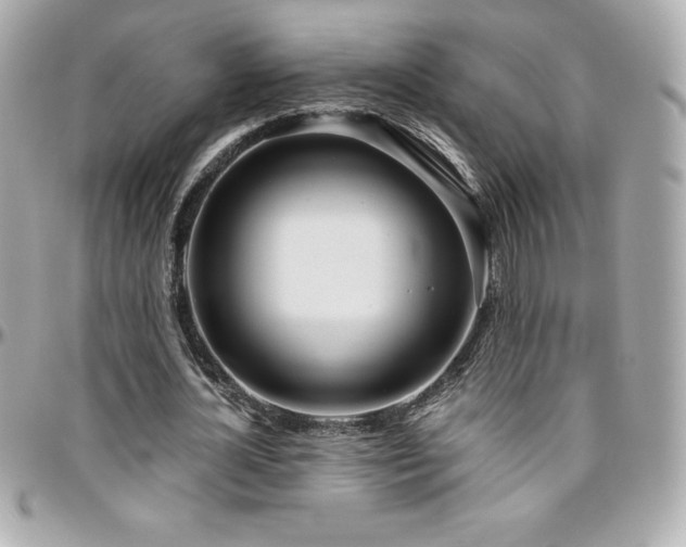 X0000096430724200801241338