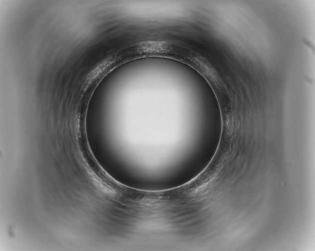 X0000096430725200801241338