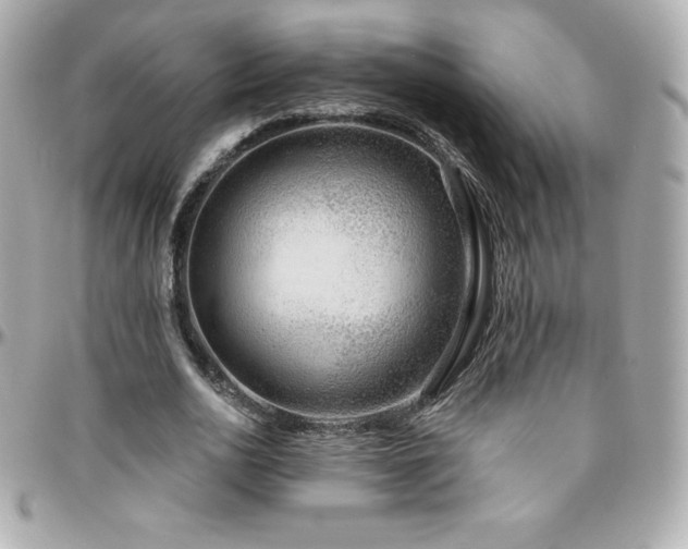 X0000096430726200801241338