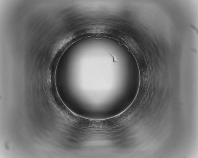 X0000096430727200801241338