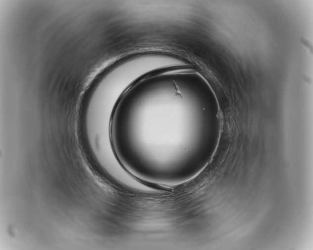 X0000096430728200801241338