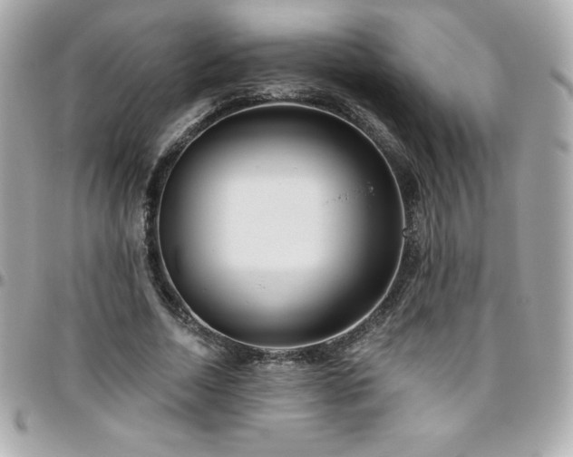 X0000096430730200801241338
