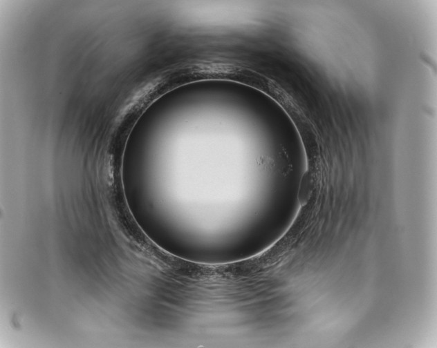 X0000096430731200801241338