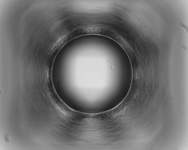 X0000096430733200801241338