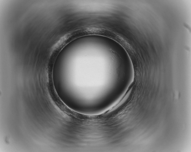 X0000096430734200801241338