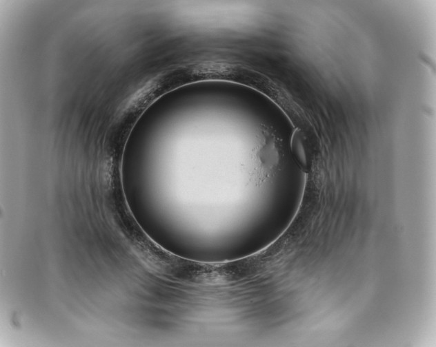 X0000096430735200801241338