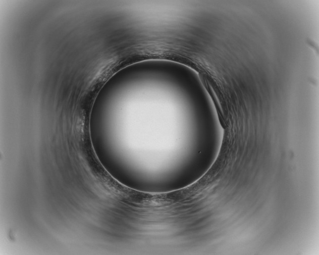 X0000096430739200801241338