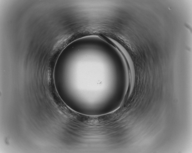 X0000096430740200801241338