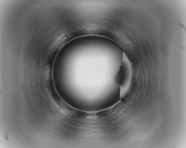 X0000096430744200801241338