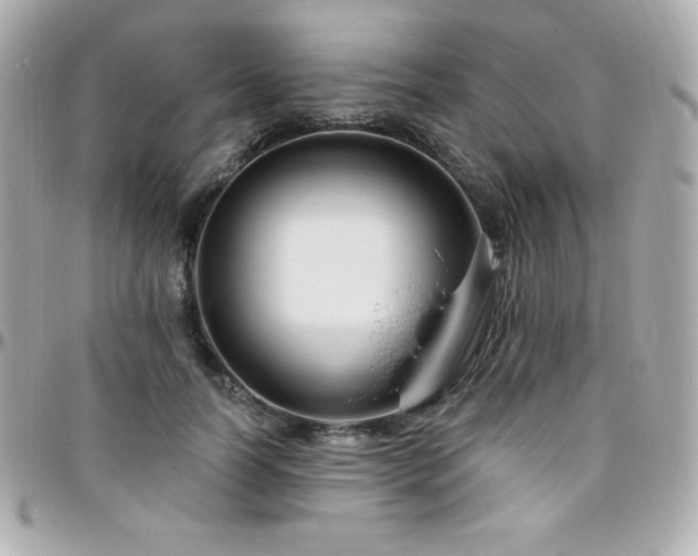 X0000096430746200801241338