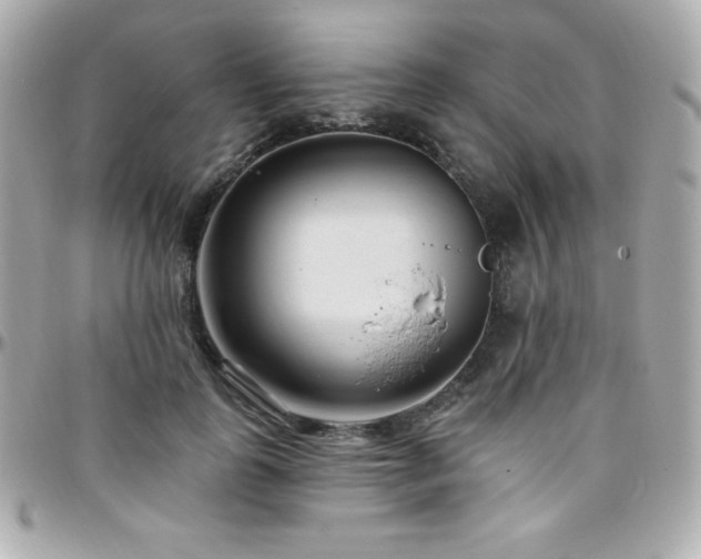 X0000096430747200801241338