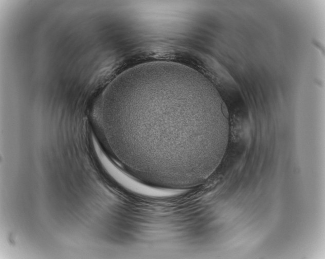 X0000096430748200801241338