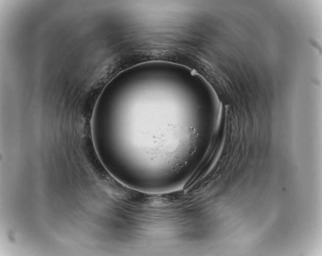 X0000096430750200801241338