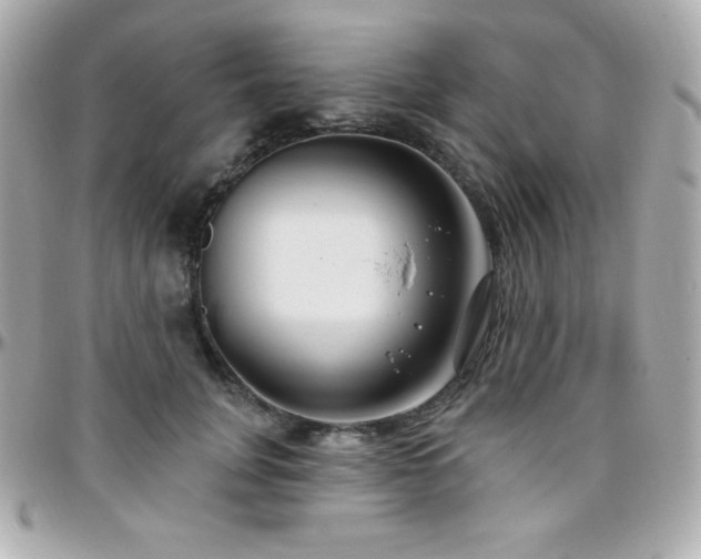 X0000096430751200801241338