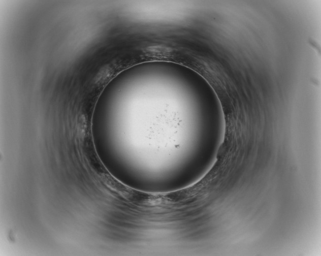 X0000096430752200801241338