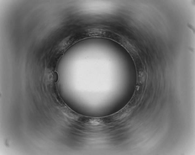 X0000096430753200801241338