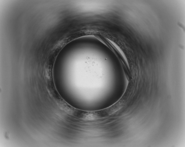 X0000096430755200801241338
