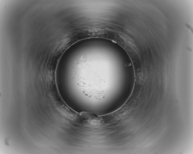 X0000096430756200801241338