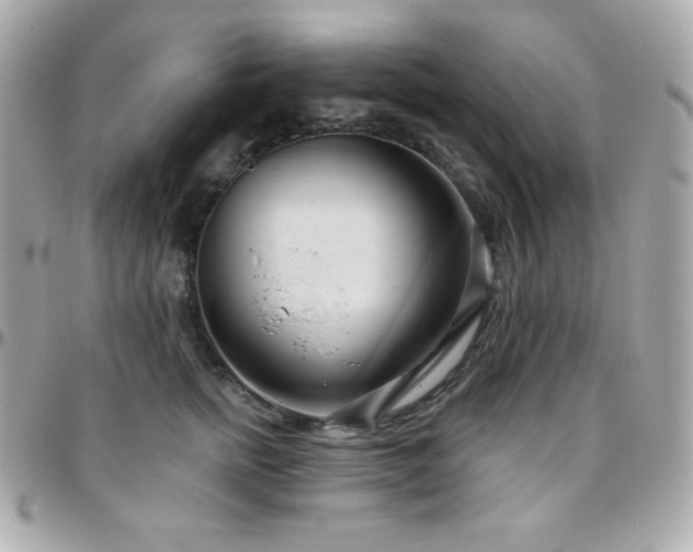 X0000096430758200801241338