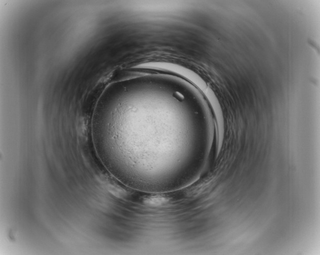 X0000096430759200801241338