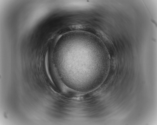 X0000096430760200801241338