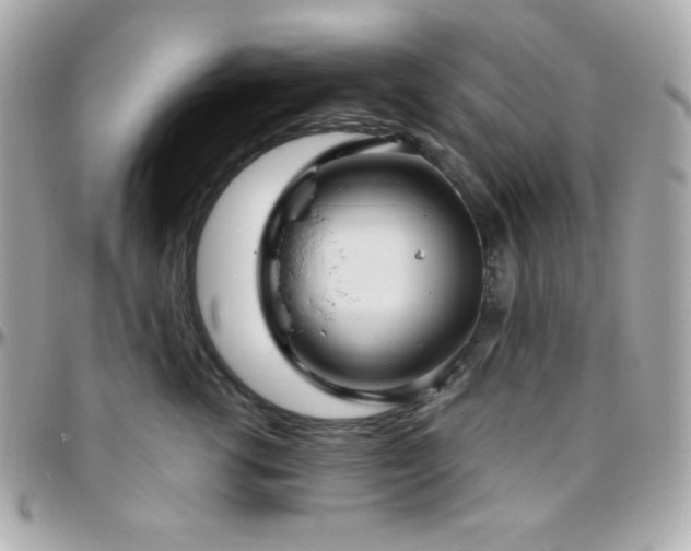 X0000096430762200801241338