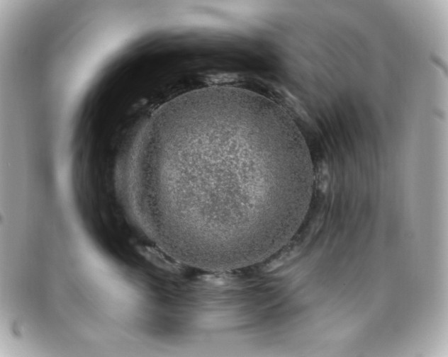 X0000096430763200801241338