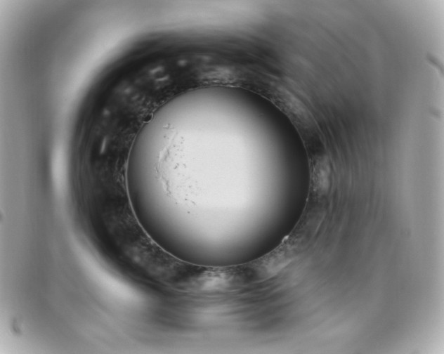 X0000096430764200801241338