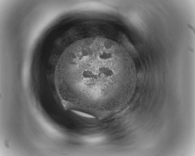 X0000096430765200801241338
