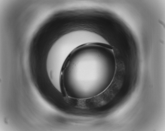 X0000096430766200801241338