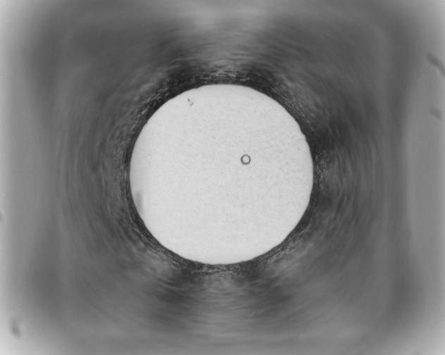 X0000096430769200801241338