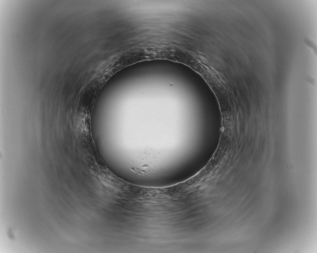X0000096430770200801241338
