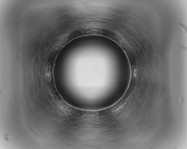 X0000096430771200801241337