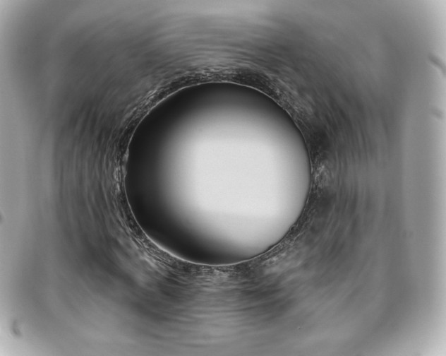 X0000096430772200801241337