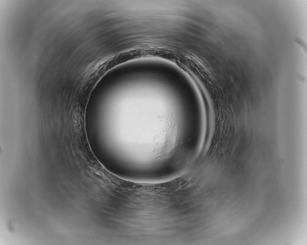X0000096430773200801241337
