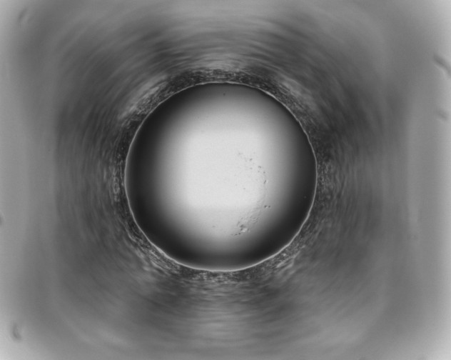 X0000096430774200801241337