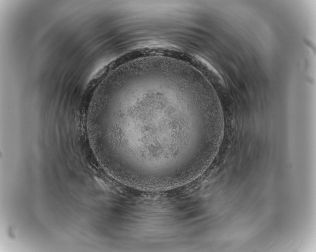 X0000096430775200801241337