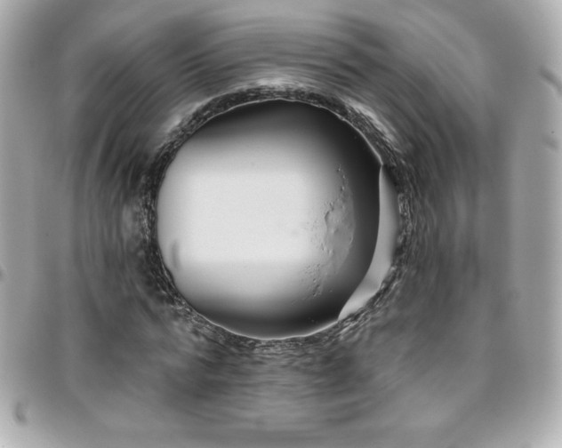 X0000096430776200801241337