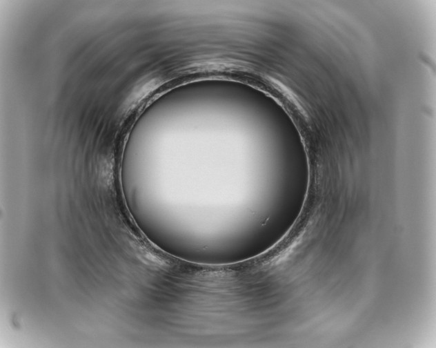 X0000096430778200801241337