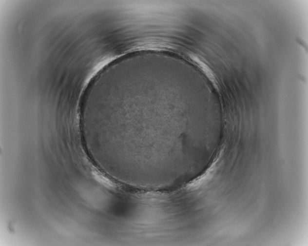 X0000096430779200801241337