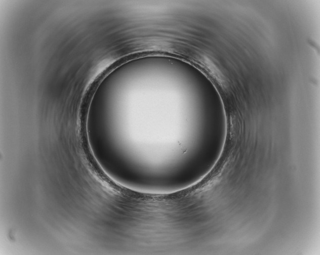 X0000096430780200801241337