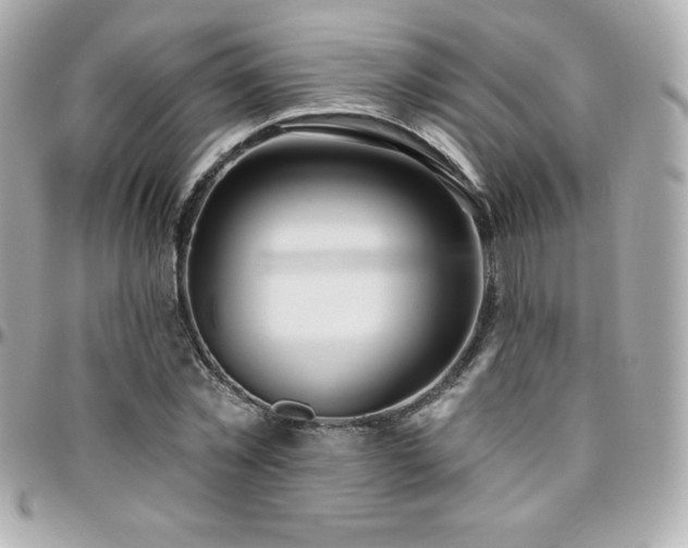 X0000096430781200801241337