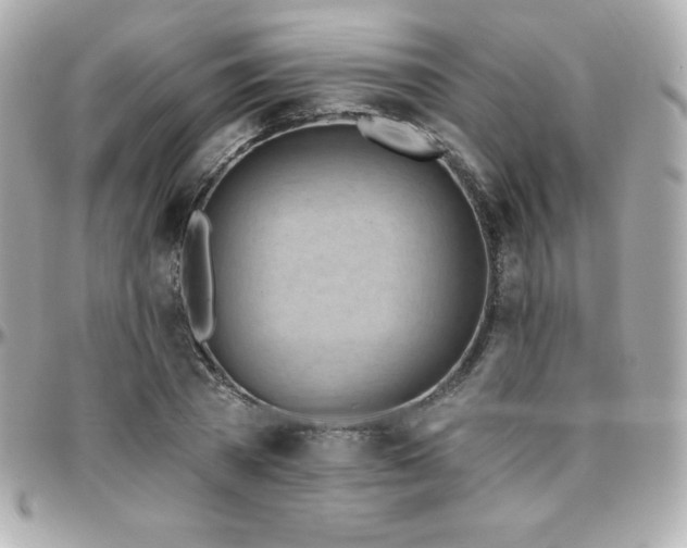 X0000096430785200801241337