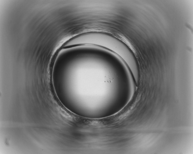 X0000096430787200801241337
