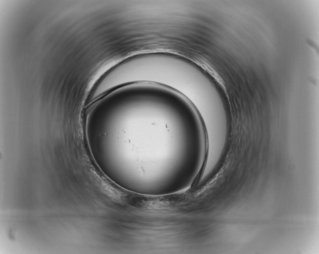 X0000096430789200801241337