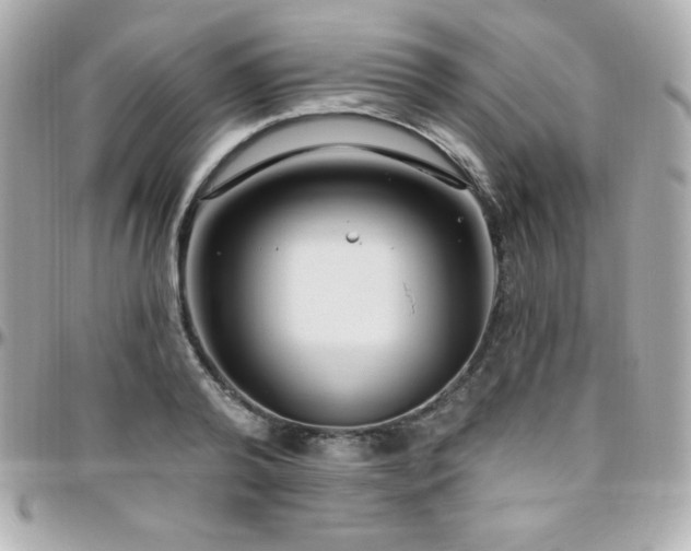 X0000096430792200801241337