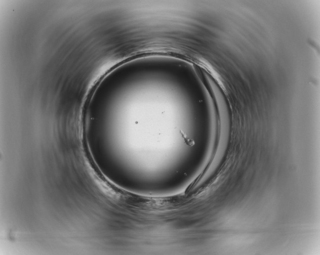 X0000096430795200801241337