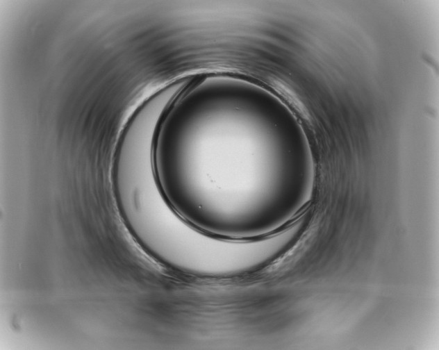 X0000096430797200801241337
