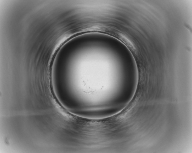 X0000096430800200801241337