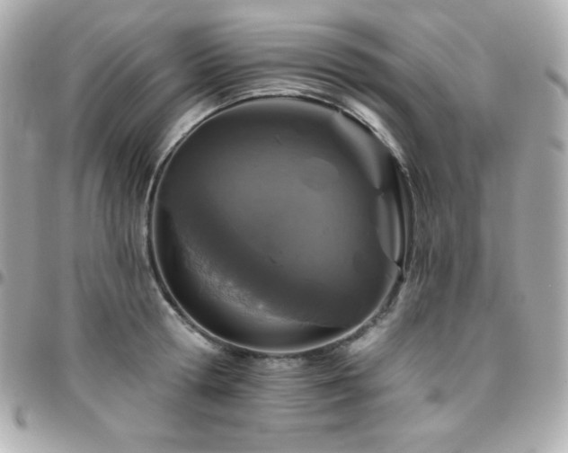 X0000096430802200801241337